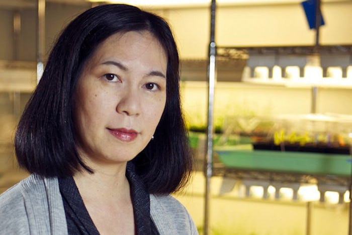 headshot of Keiko Torii