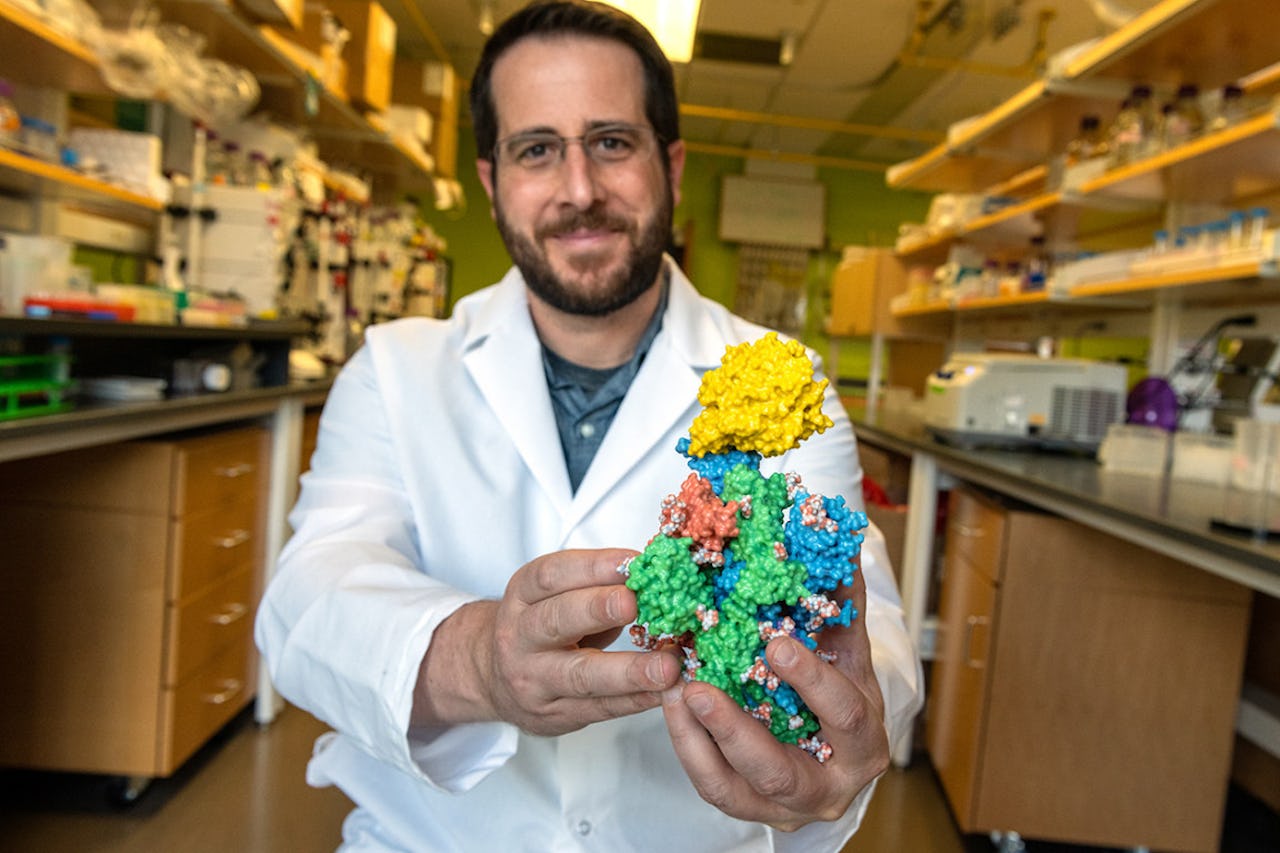 Photo of Jason McLellan holding a 3-D printed model of a SARS-CoV-2 Spike Protein