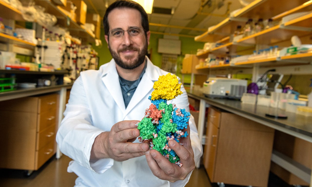 Photo of Jason McLellan holding a 3-D printed model of a SARS-CoV-2 Spike Protein