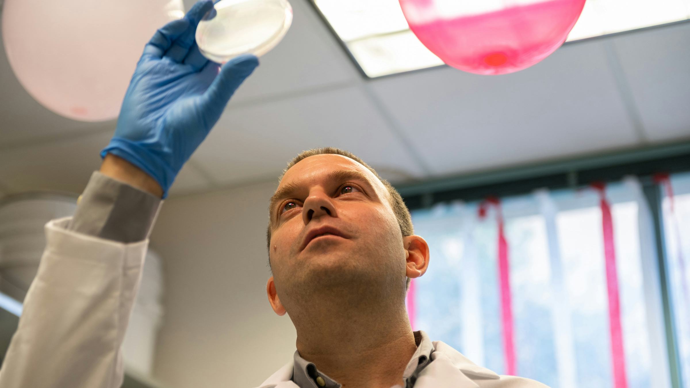 Jeff Barrick examines a dish of E. coli