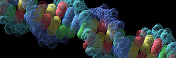 3-D rendering of DNA